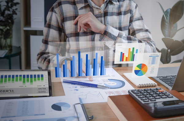 Amicas Online Statistikservice für Privathaushalte Amicas Online Statistikservice für Privathaushalte